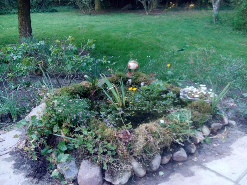 Idyl Apartment Wiedenborstel Екстериор снимка