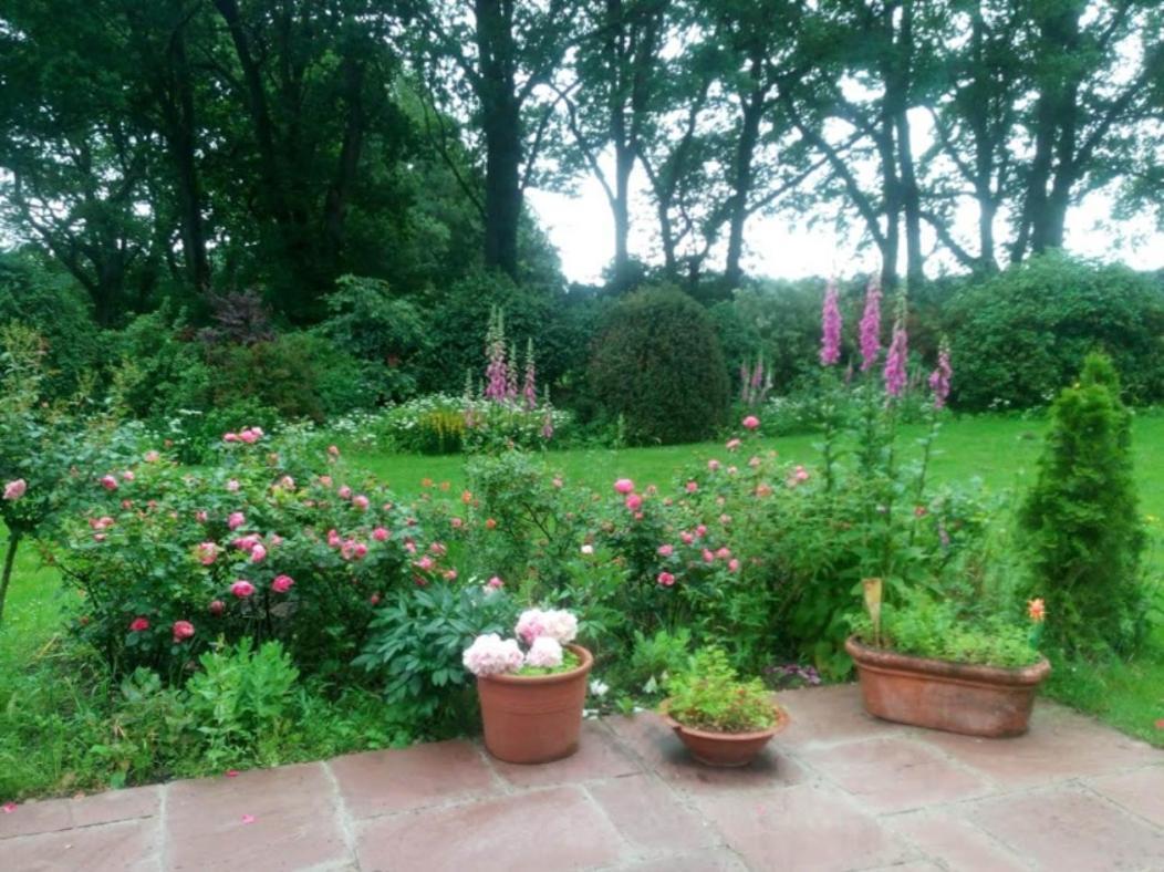 Idyl Apartment Wiedenborstel Екстериор снимка